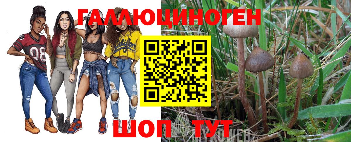 Можга  Галлюциногенные грибы прущие грибы  Вход с VPN 