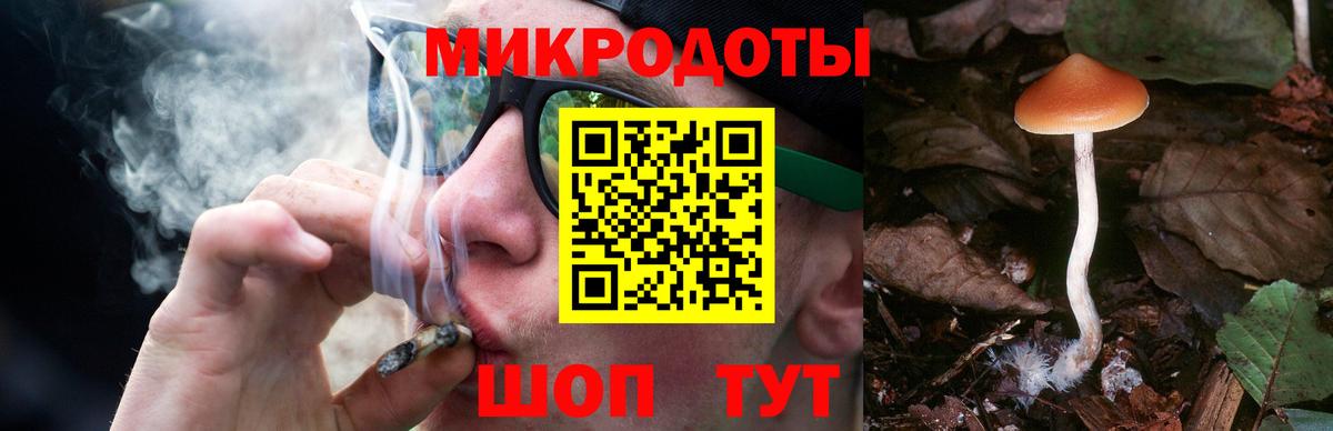Галлюциногенные грибы прущие грибы Можга